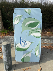 Creative Conservation